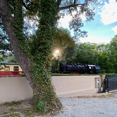 Harztraeume 1 - Gemuetliches Fuer Paare, Altstadtnah Mit Brockenbahnblick & Parkplatz - Self Check-in 아파트