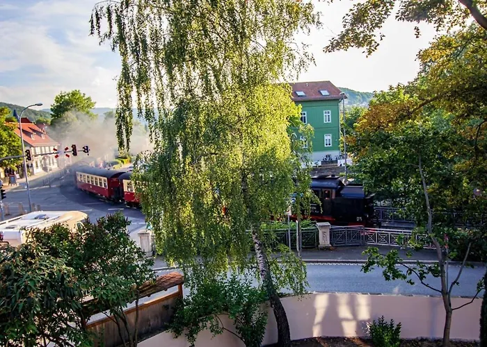 Harztraeume 1 - Gemuetliches Fuer Paare, Altstadtnah Mit Brockenbahnblick & Parkplatz - Self Check-in 아파트