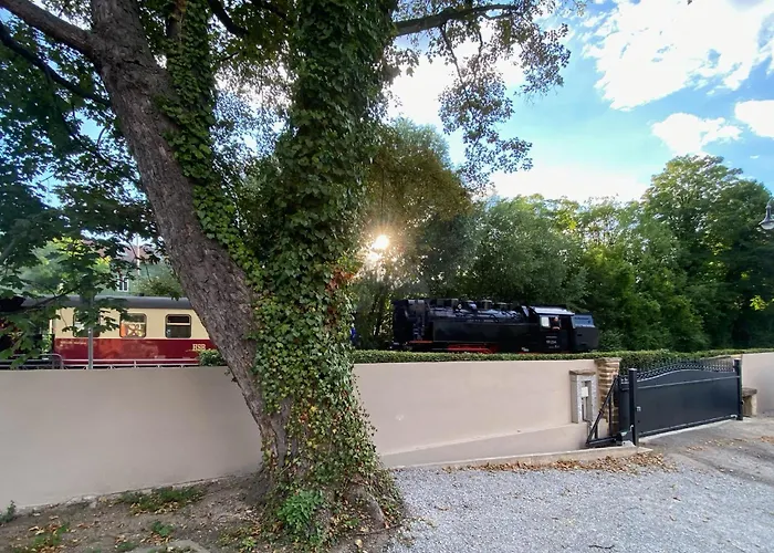 Harztraeume 1 - Gemuetliches Fuer Paare, Altstadtnah Mit Brockenbahnblick & Parkplatz - Self Check-in Lejlighed